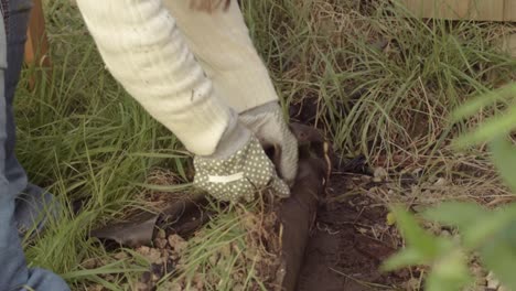 Woman-removing-tarpaulin-sheet-covering-from-ground-in-garden