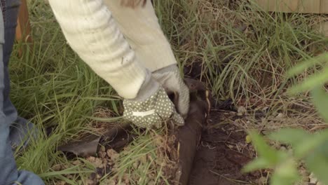 mujer quitando la lona que cubre el suelo en el jardín