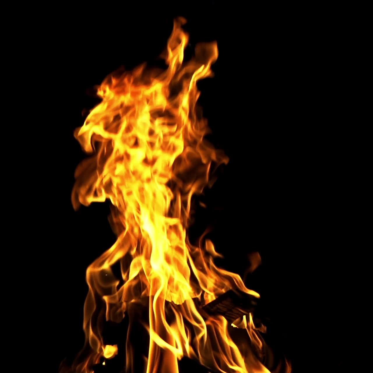 Bonfire at night. Burning Wood in Slow Motion