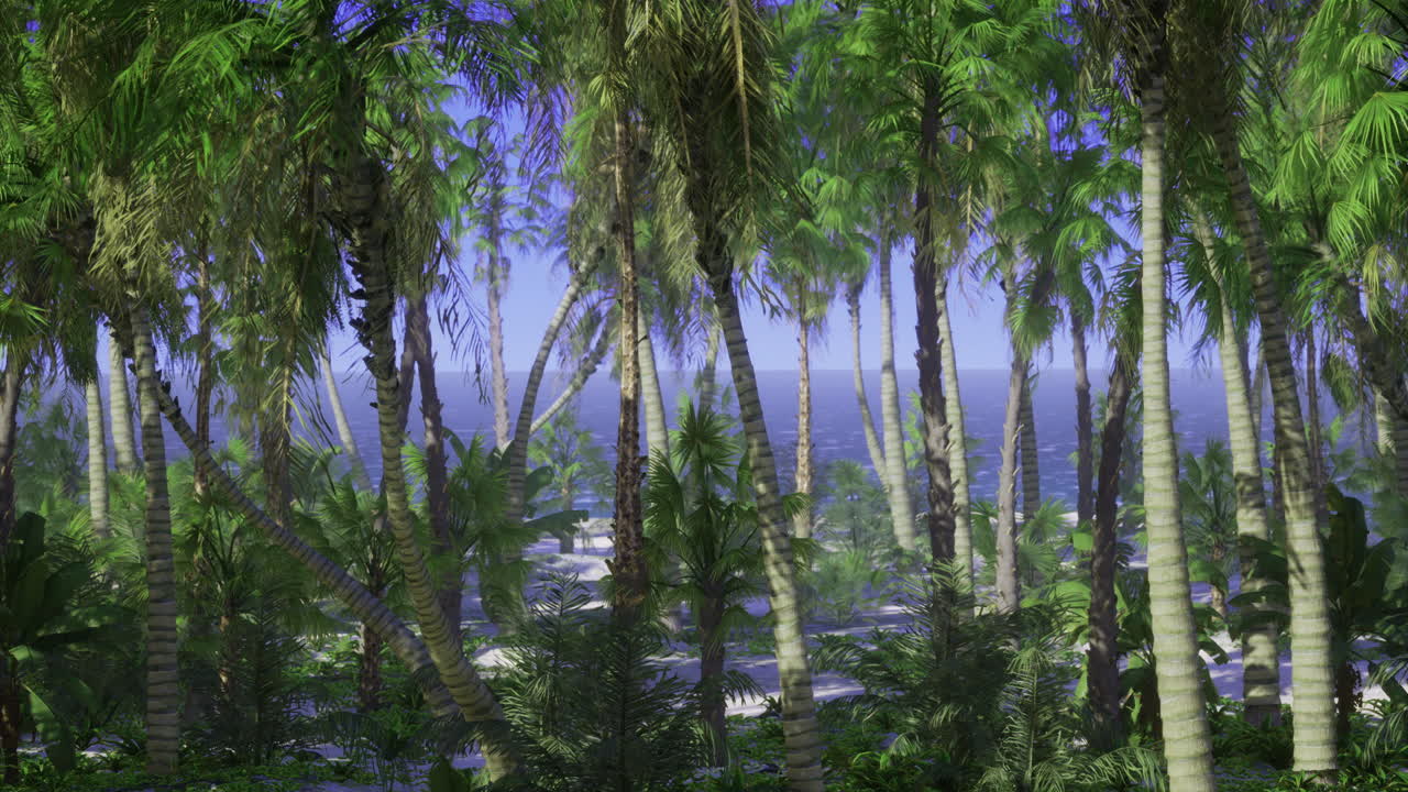 тропический пляж с пальмами