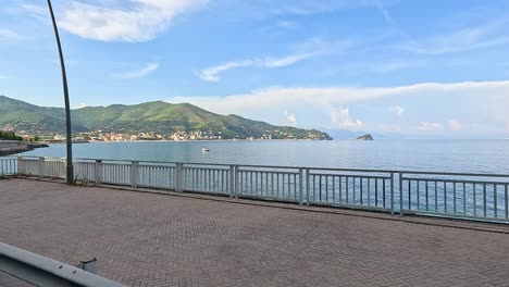 person walking dog along seaside promenade