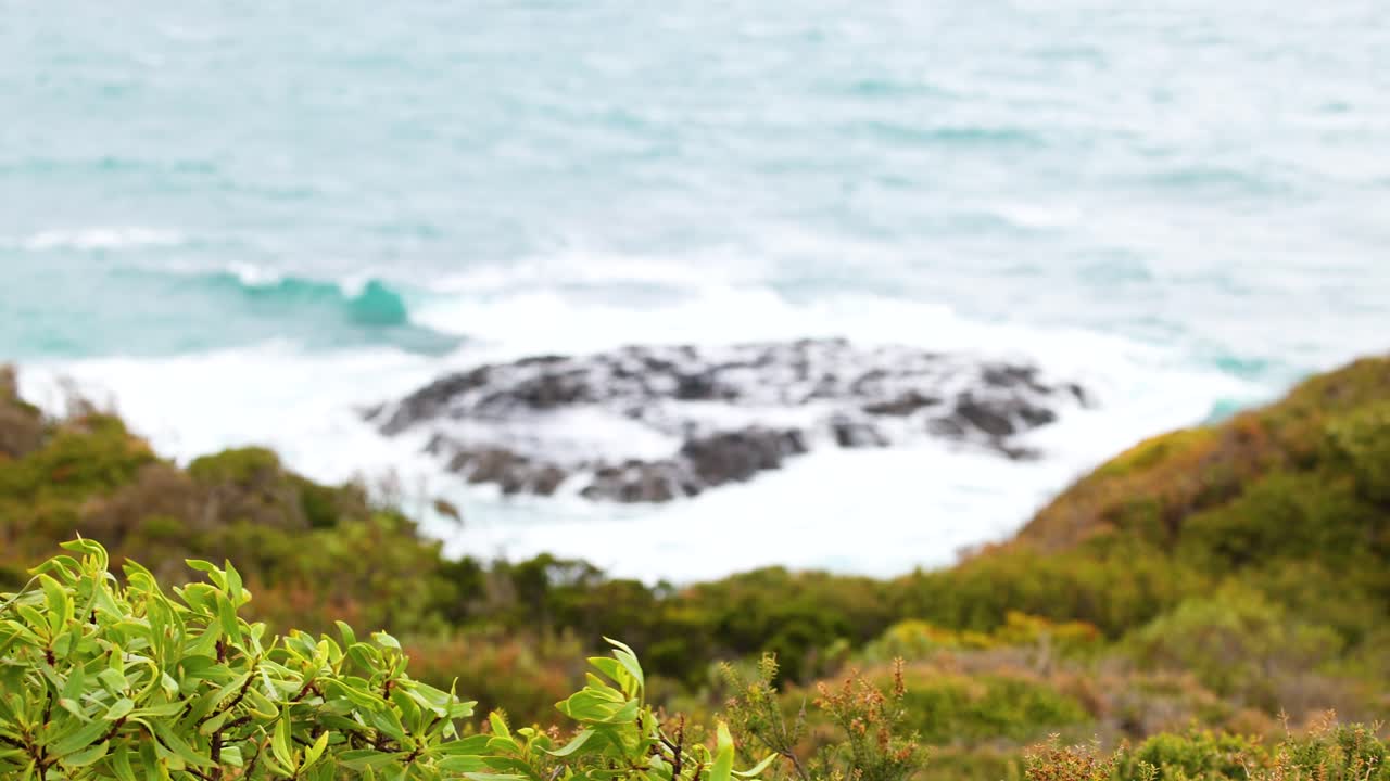 Waves gently crash against rocky shores with lush greenery in the foreground. Bright daylight enhances the tranquil coastal scenery