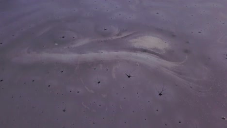 impresionantes paisajes de burbujas de agua congelada en el lago en transilvania, rumania durante el invierno - disparo de drones