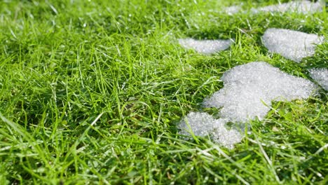 Macro-shot-of-shiny-melting-snow-particles-with-green-grass-and-leaves