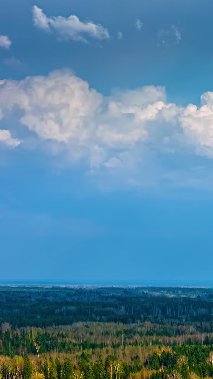 Atmospheric cinematic clouds swirl and diffuse in sky above speckled green forest, vertical static backdrop