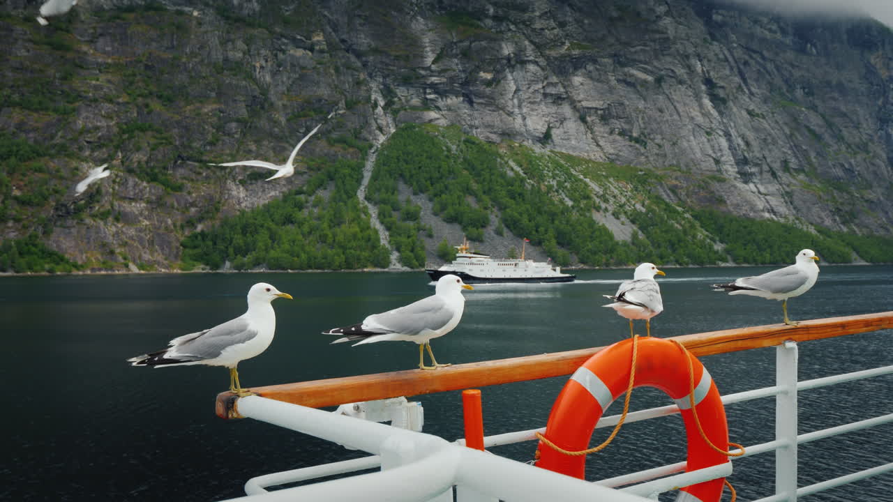 갈매기 떼가 그림 같은 노르웨이 피요르드를 따라 항해하는 유람선의 난간에 앉아 있다