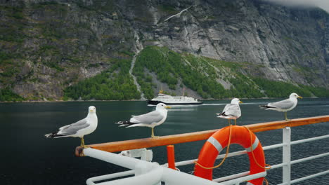 a flock of seagulls sits on the rails of a cruise ship that sails along picturesque norwegian fjords