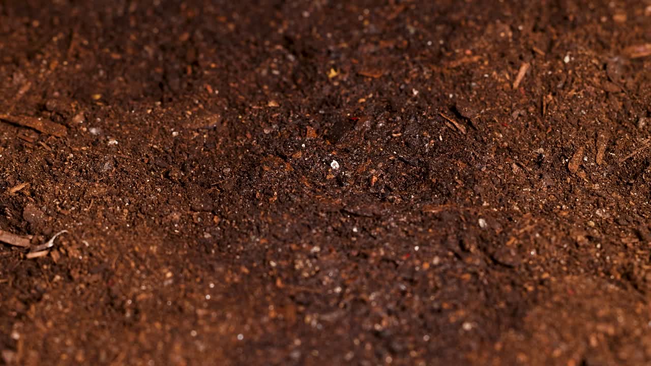 Water mist gently sprays over dark soil, creating a rain effect in a controlled laboratory environment