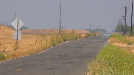 El-Calor-Se-Eleva-Desde-Un-Camino-Del-Desierto