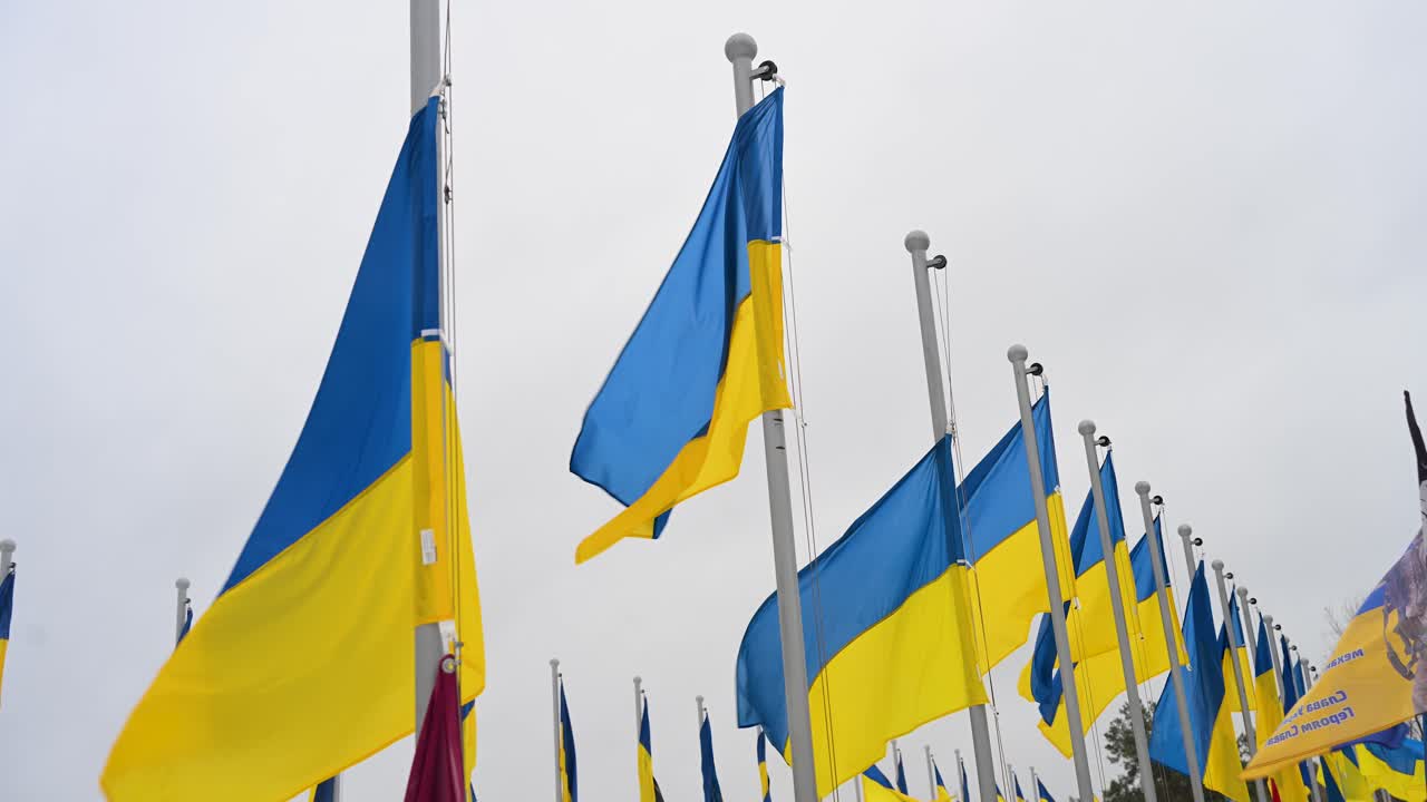 Upward view o Ukrainian flags stand tall, waving in the winter wind over the graves of fallen soldiers at Irpin Cemetery, Ukraine, who died in the Ukraine-Russia war.