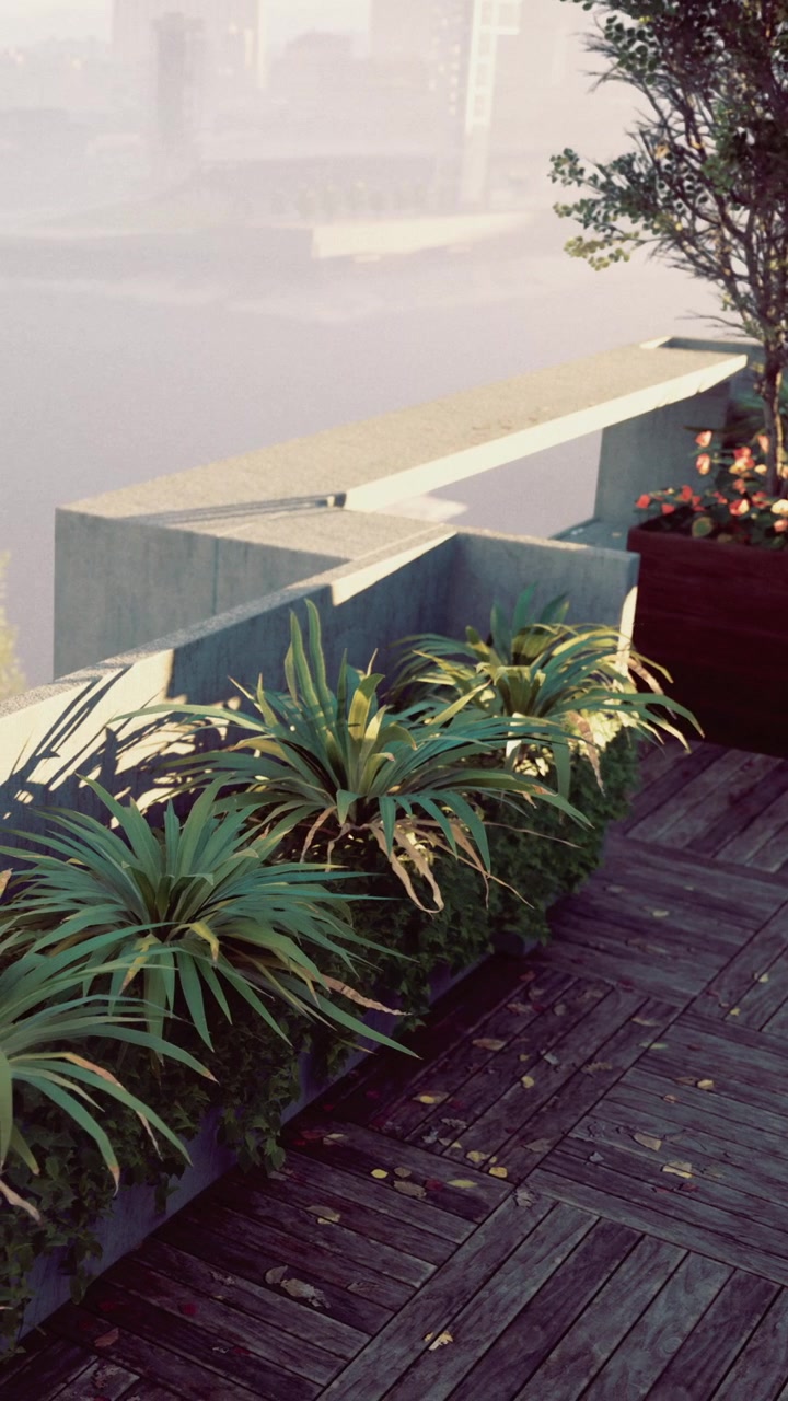 Piante verdi su un balcone vicino a un fiume durante le ore mattutine.