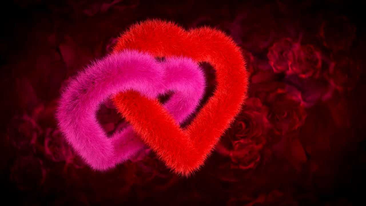 두 개의 심장의 연합, 빨간색과 분홍색은 빨간 장미에 bg