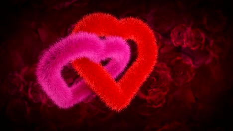 unión de dos corazones, rojo y rosa en la rosa roja bg