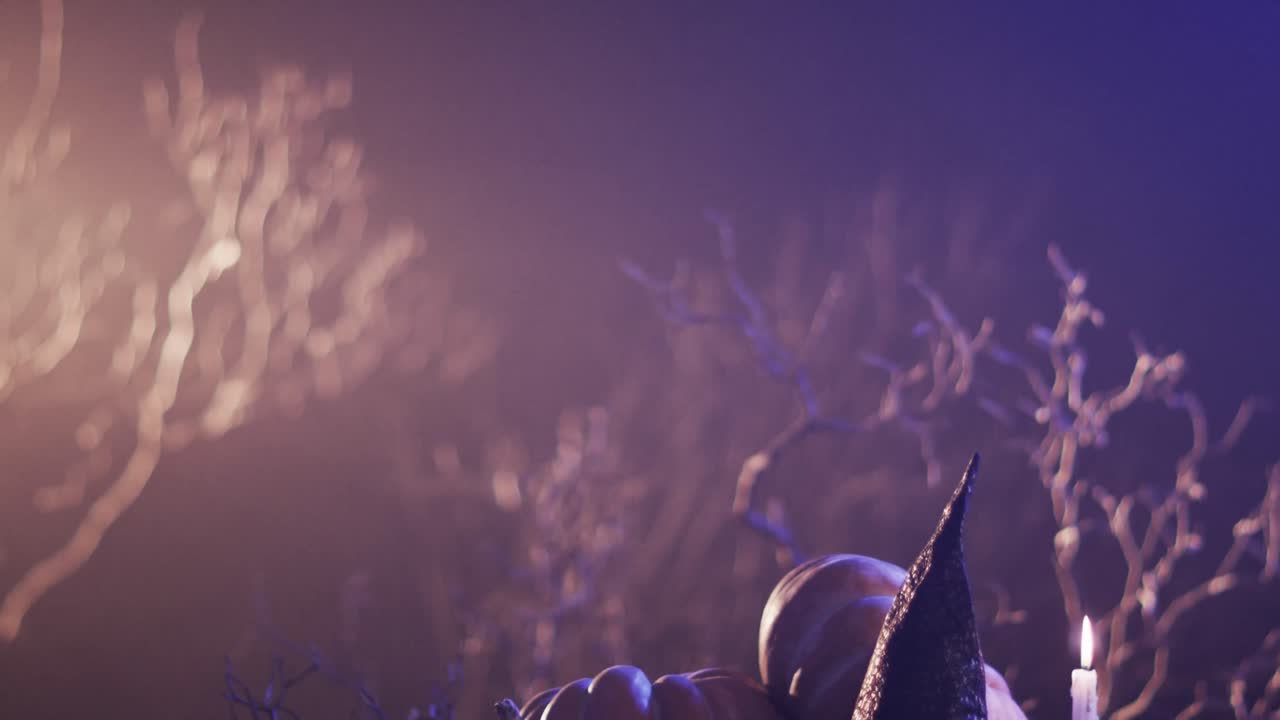 Video of halloween pumpkins, hat, candle and copy space on purple background