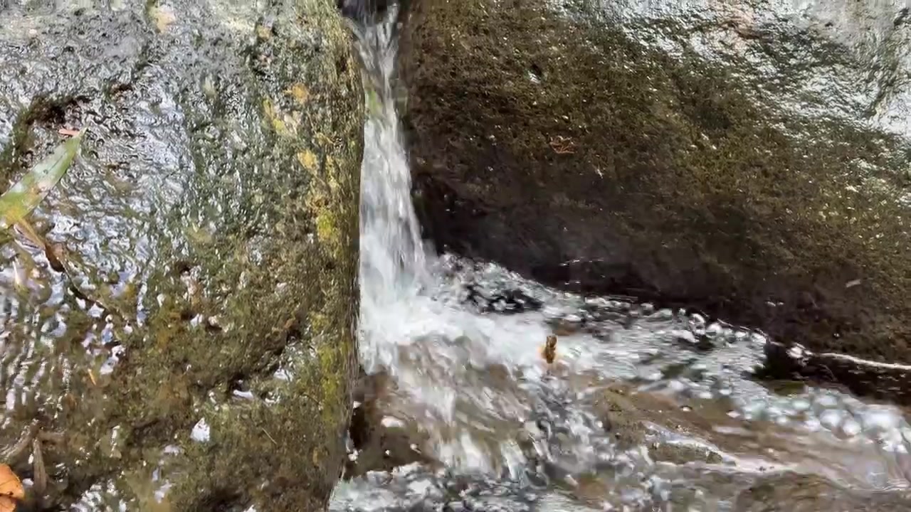 Small Waterfall Flowing Between Mossy Rocks in a Forest Stream