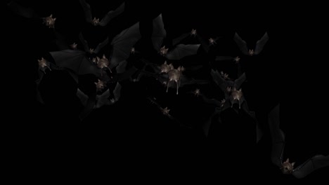 flying bats animation with black green screen loop halloween bats background.