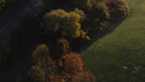 Vista-Aérea-Mirando-Hacia-Abajo-Sobre-Los-Coloridos-árboles-Del-Parque-Otoñal-Y-El-Tráfico-Del-Cruce-De-La-Ciudad-Rural-Con-Fugas-De-Luz-Del-Amanecer-Temprano-En-La-Mañana