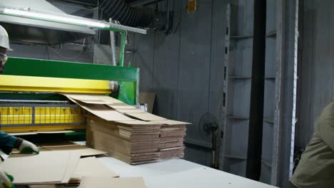 workers operating cardboard box production line