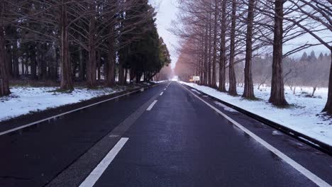 viajando por un camino invernal solitario en metasequoia namiki, japón