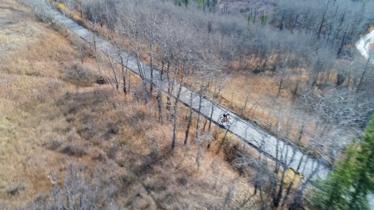 숲 4k에서 시골 도로를 통해 자전거 타는 자전거 타는 공중