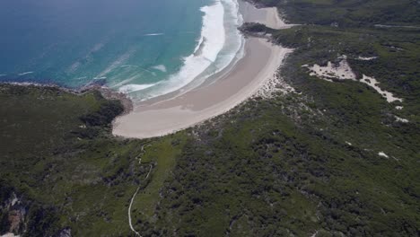 White-Sandy-Shore-And-Beach-At-Whisky-Bay,-Wilsons-Promontory-National-Park,-Australia---aerial-drone-shot