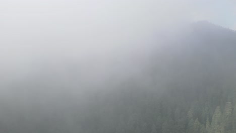 Lapso-De-Tiempo-Del-Bosque-En-Las-Montañas-En-Un-Día-De-Niebla