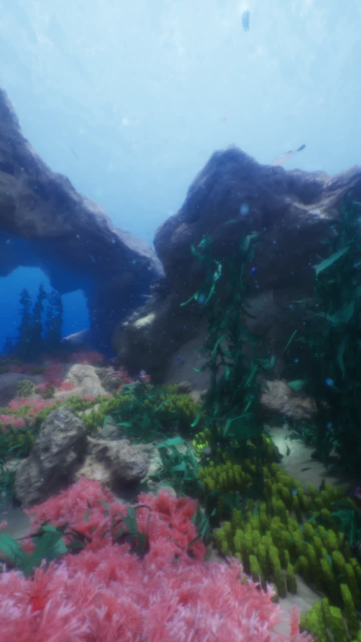 Colorful underwater reef teeming with marine life and vibrant coral garden