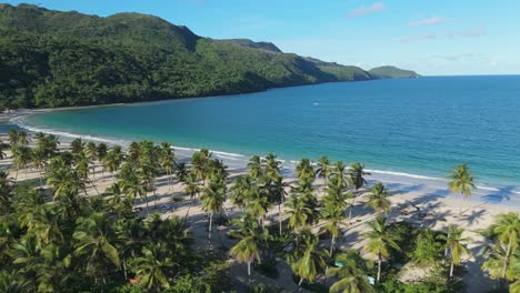 aerial shot of playa rincón in samaná, focusing on coconut trees along the coast and gentle waves lapping the shore, with the horizon and lush vegetation in the background on a sunny day.