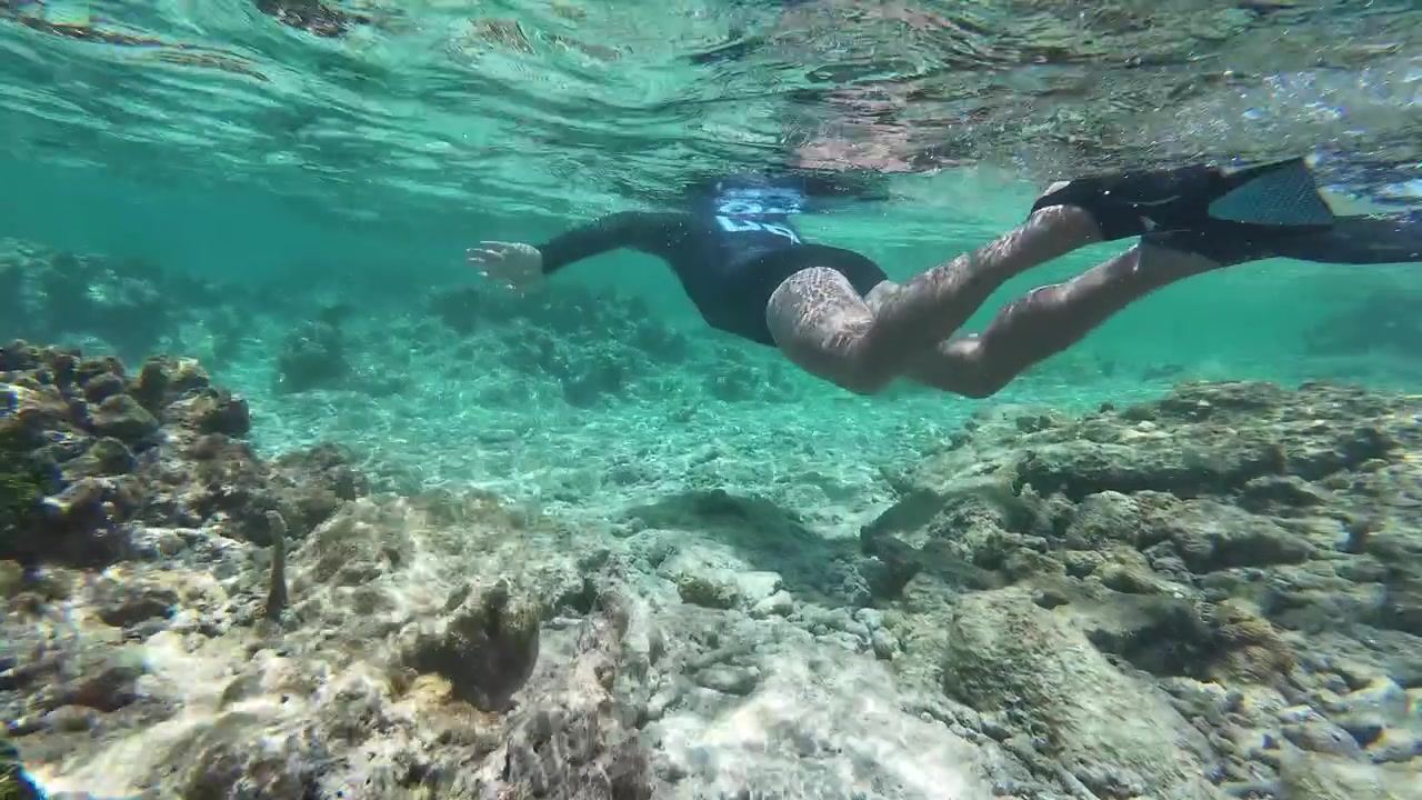 Mand snorkler under vandet over et lavt koralrev omgivet af klart turkist caribisk vand og boblestrømme. Unikt perspektiv eventyroplevelse.