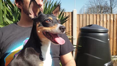 cute rescue puppy dog sitting on owners lap in the sunshine panting