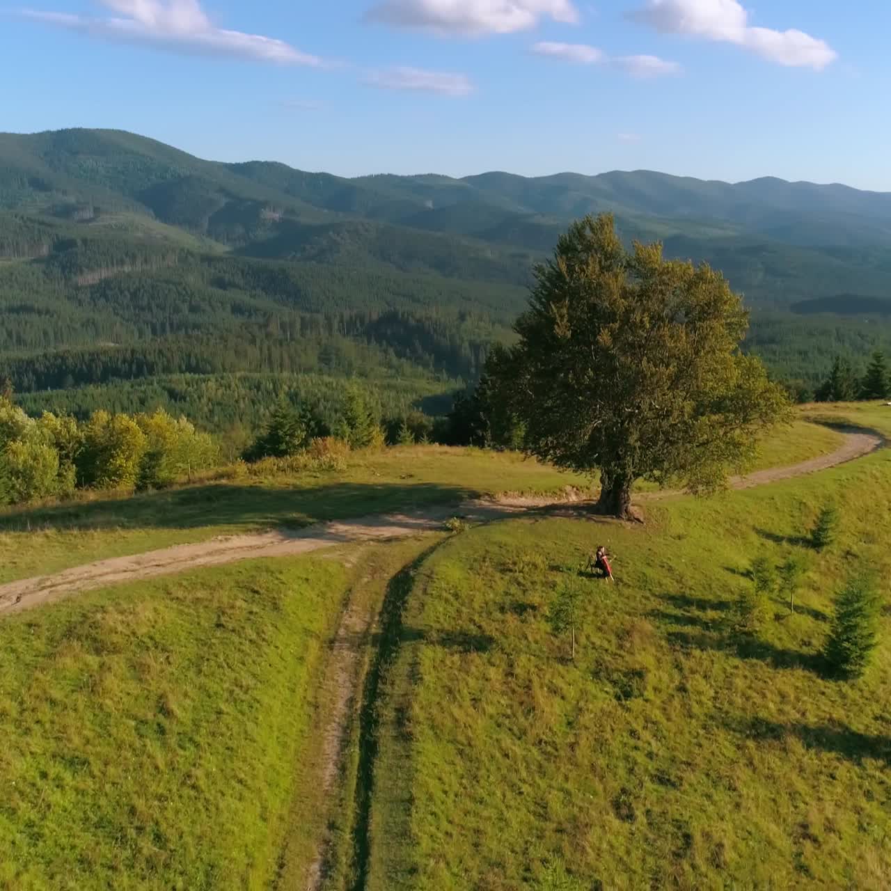 Person among green scenery. Panoramic view of green nature in the mountains. Musician on the green hill in summer. Aerial view