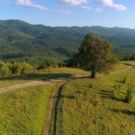 person among green scenery. panoramic view of green nature in the mountains. musician on the green hill in summer. aerial view
