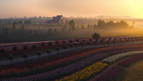 niebla matutina en el jardín con un edificio acogedor en la luz del atardecer. vista del cielo del amanecer