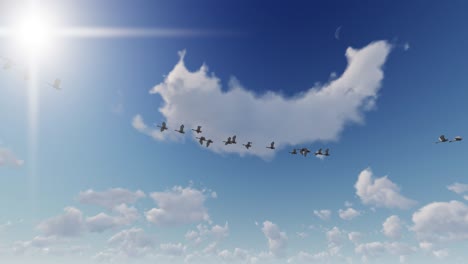 una bandada de cisnes volando contra el cielo azul, luma matte, bucle, 4k