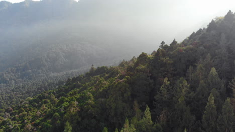 Aerial-drone-shot-of-forest-and-mountains-in-Xitou-Nature-Education-area-in-Taiwan