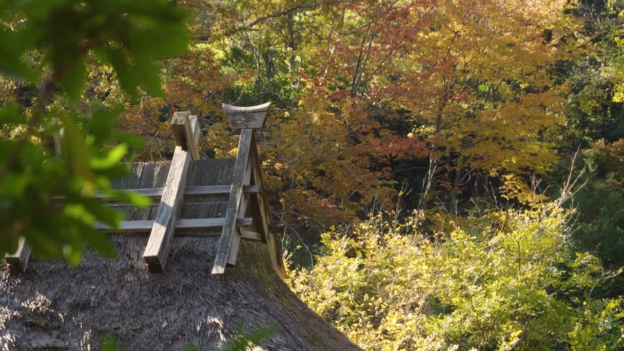 놀라운 슬라이딩은 니혼 민카 엔 오픈 에어 아키텍처 박물관 (new tokyo open air architecture museum) 에서 열린다.