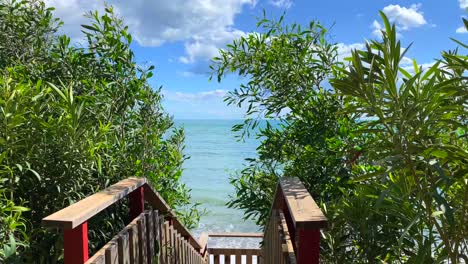 beautiful cinematic sea view on a windy sunny day with blue sky and trees moving near wooden stairs by the beach in marbella, estepona spain, 4k static shot