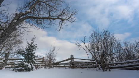 hermosa escena de paisaje de invierno timelapse, el país de las maravillas de invierno en canada