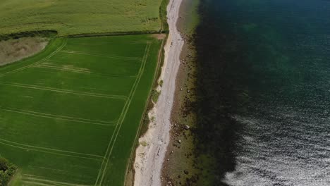 aerial top down tilt of danish coastline with green fields and calm ocean on a beautiful summer day