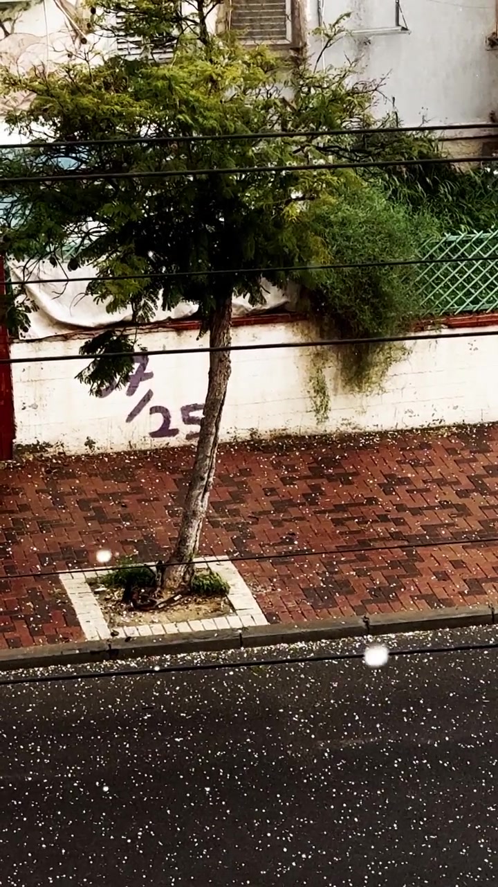 Hail covering urban street and sidewalk during winter storm