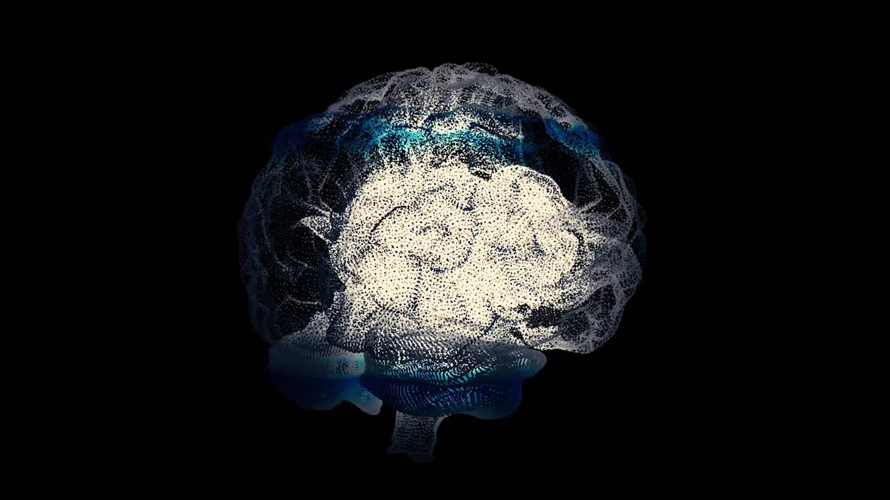 3D Render of Human Brain