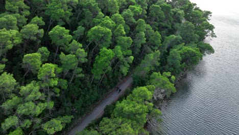 tracking drone shot of two bikers riding around mljet island in the day with trees and sea in croatia