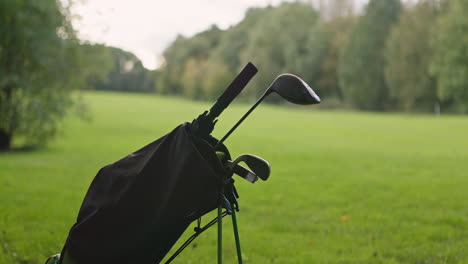 golf clubs in golf bag on green grass