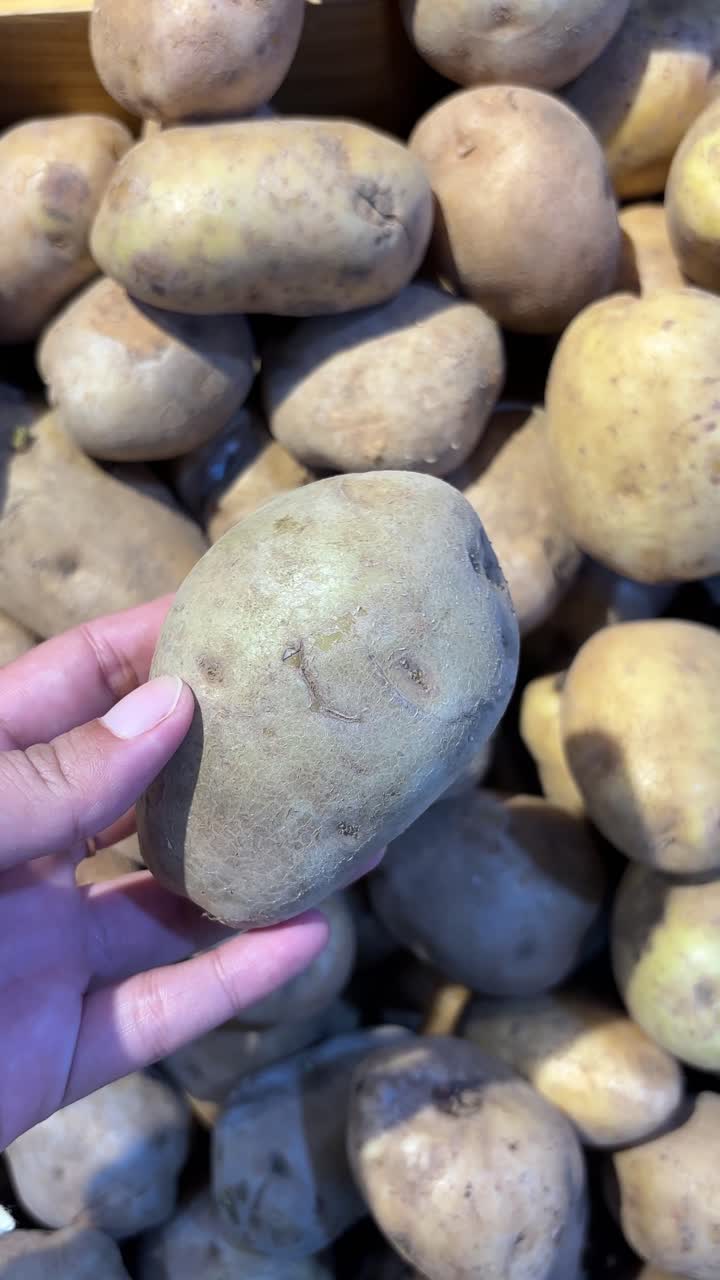 Una mano che raccoglie e tiene in mano una patata fresca.