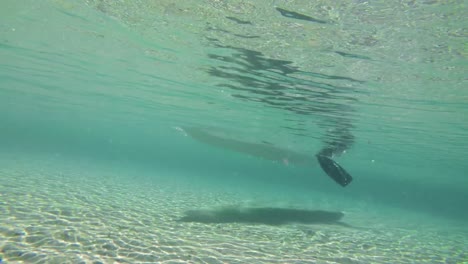 woman kayaking in river 4k