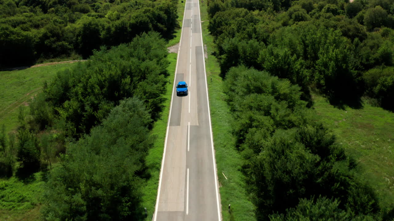 Auto blu che guida sulla strada tra alberi verdi di giorno in Istria, Croazia