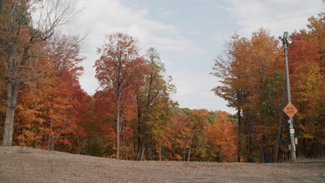 sunny autumn day at the mountain with colored leaves