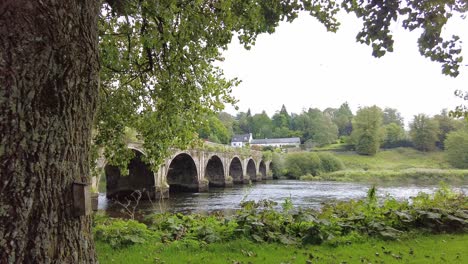 view from under a oak tree of the river nore kilkenny ireland