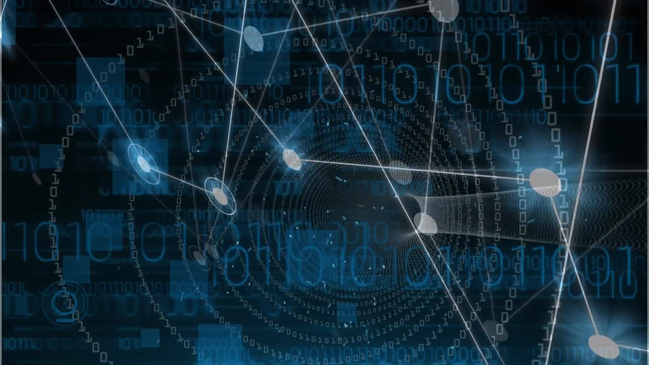Animation of network of connections over data processing