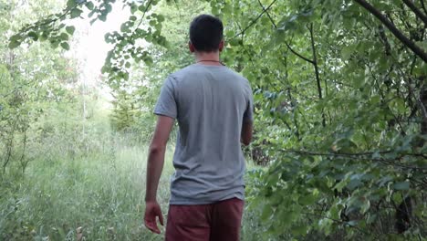 Man-walking-in-the-green-forest---shot-from-behind